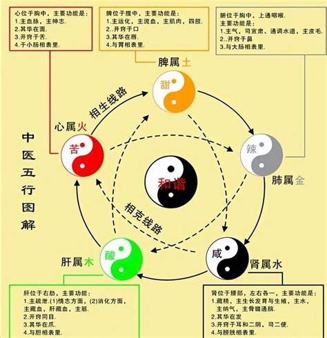 木和水 五行|水与木 的关系？